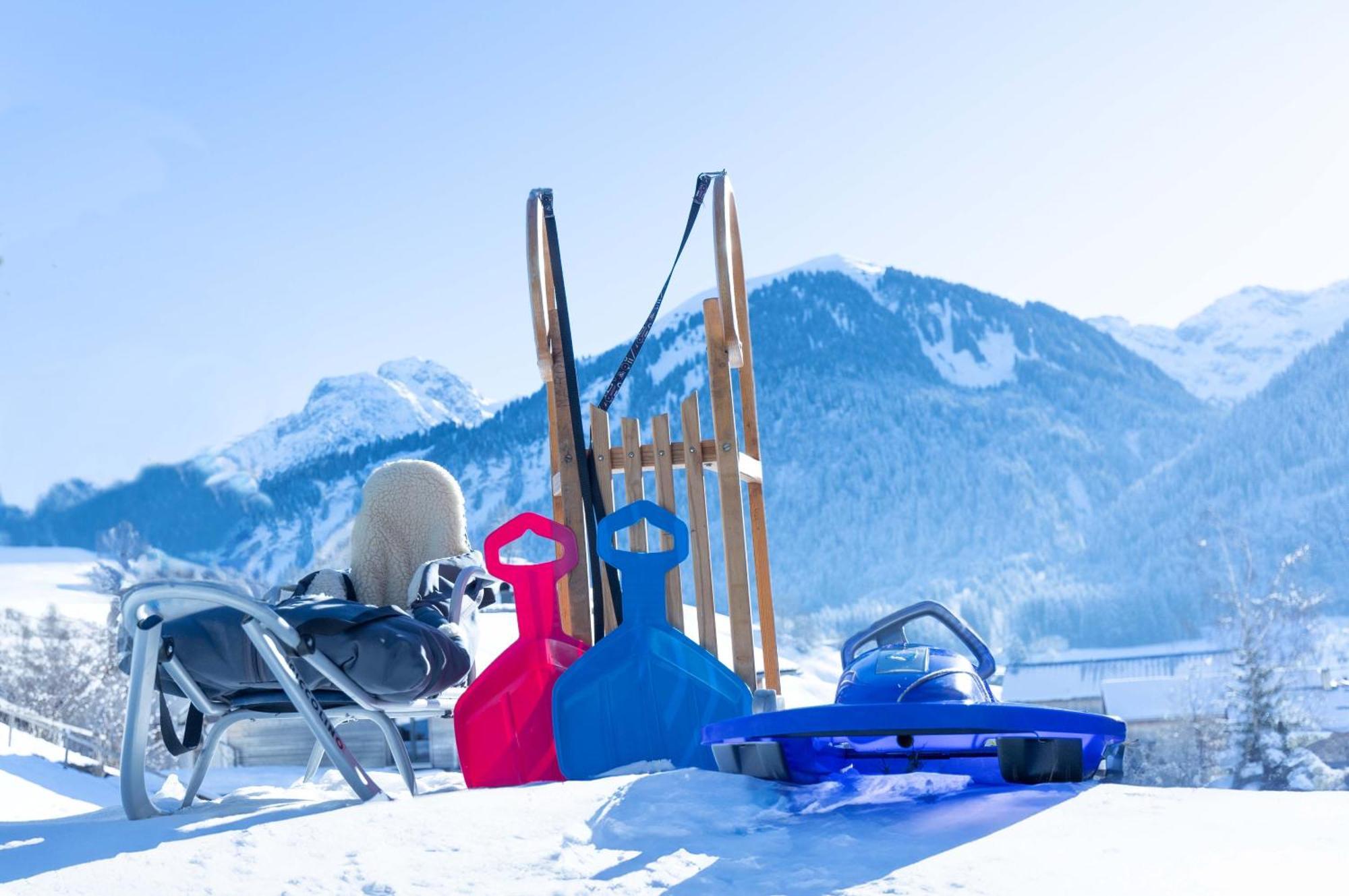 Haus Theresia Ruef Au (Vorarlberg) Экстерьер фото